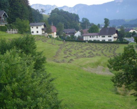 Bauernhof Kasleitner Villa Zell am Moos Exteriör bild