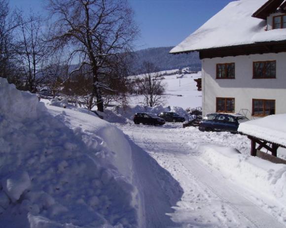 Bauernhof Kasleitner Villa Zell am Moos Exteriör bild