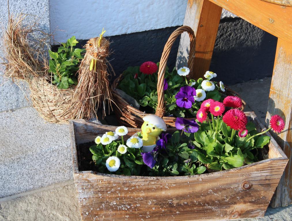 Bauernhof Kasleitner Villa Zell am Moos Exteriör bild